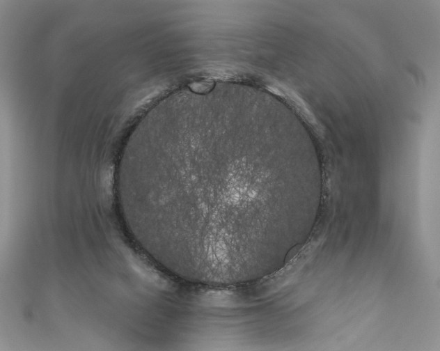 X0000111000066200906261507