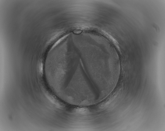 X0000111000067200906261507