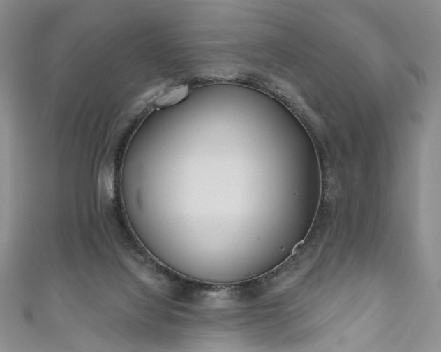 X0000111000068200906261507