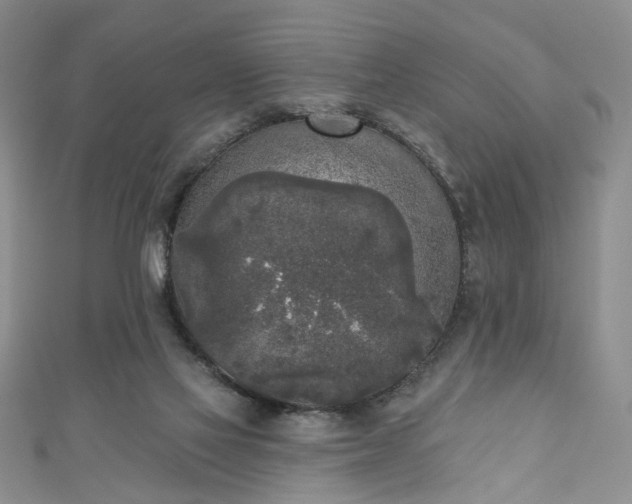 X0000111000069200906261508