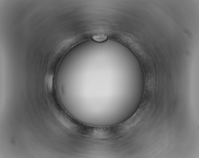 X0000111000070200906261508