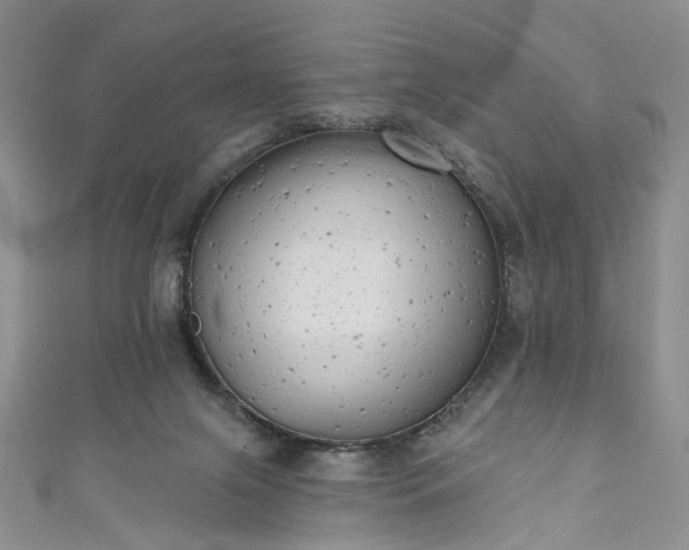 X0000111000071200906261508