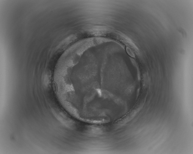 X0000111000073200906261508