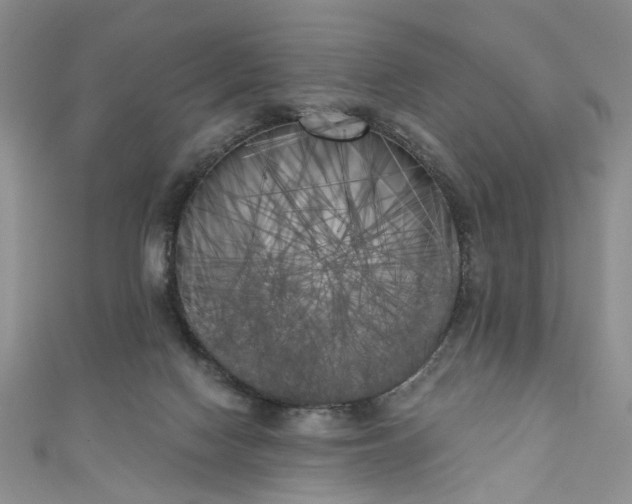 X0000111000074200906261508