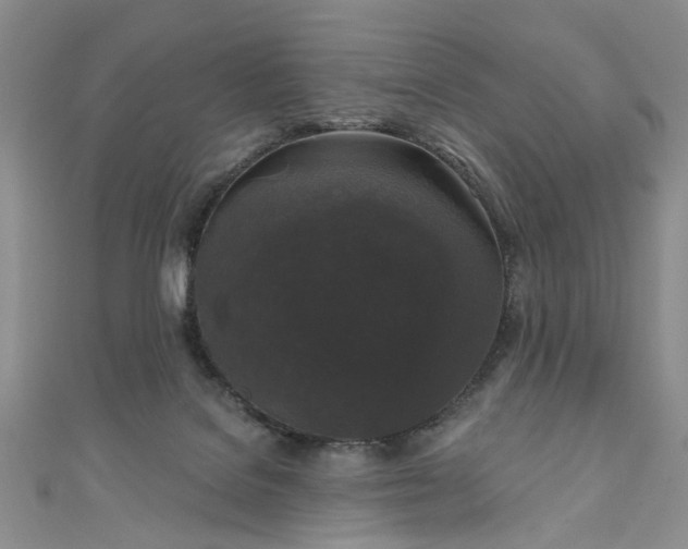 X0000111000076200906261508