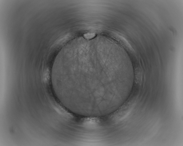 X0000111000077200906261508