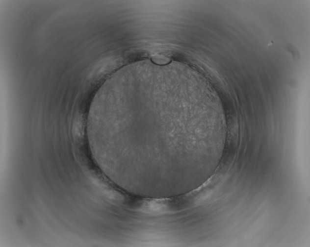 X0000111000078200906261508