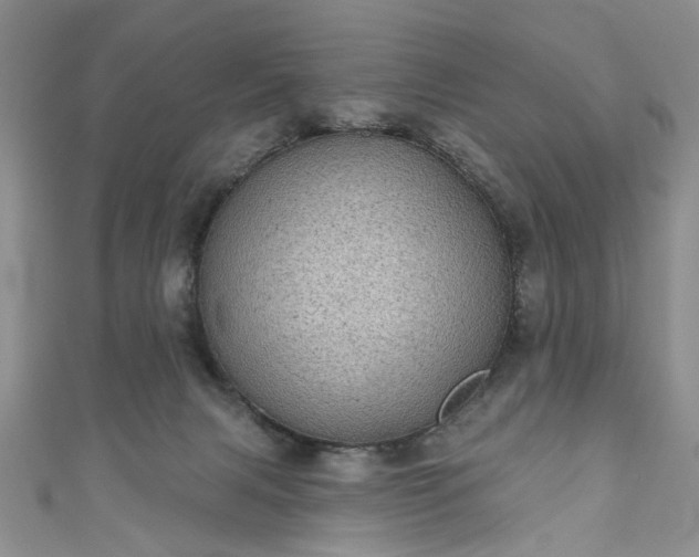 X0000111000079200906261508