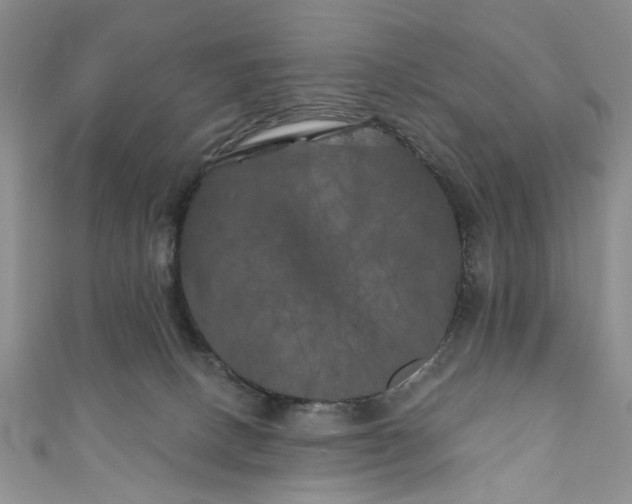 X0000111000082200906261508
