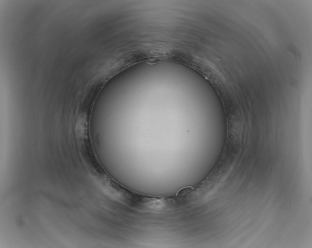 X0000111000083200906261508