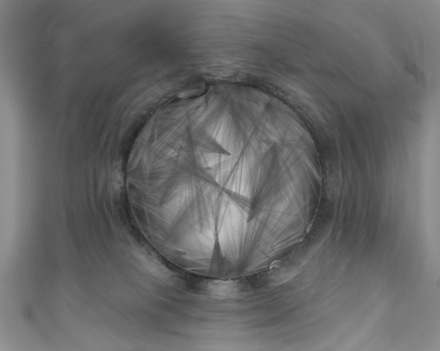 X0000111000085200906261508