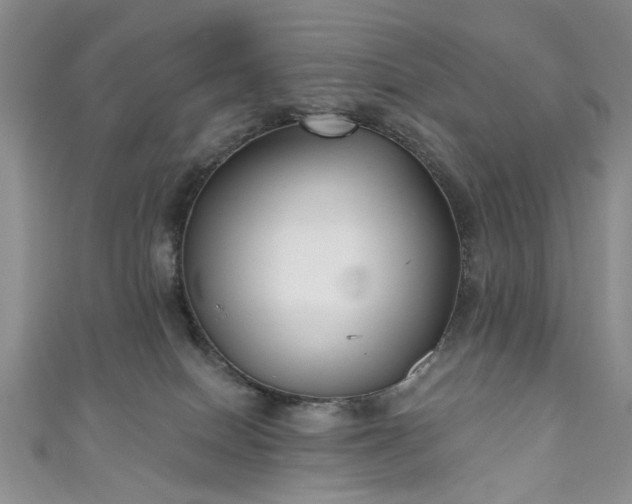 X0000111000086200906261508