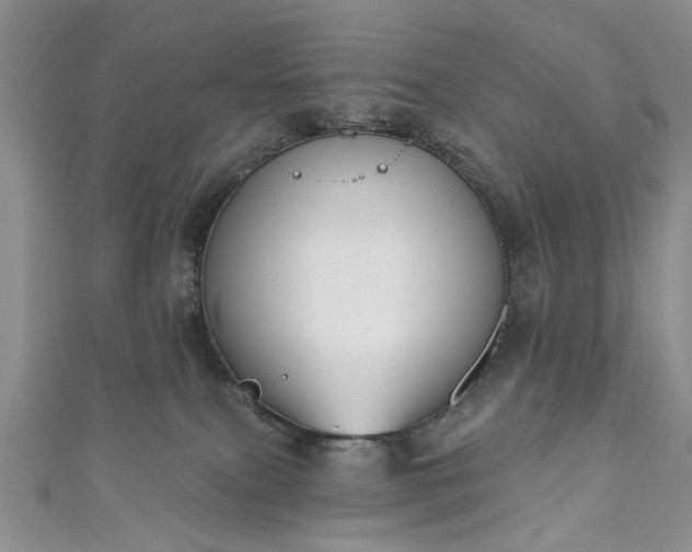 X0000111000087200906261508