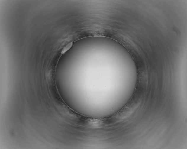 X0000111000088200906261508