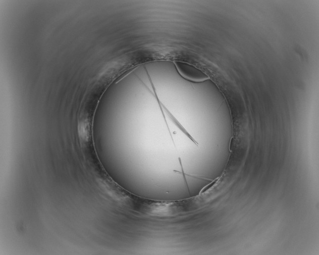 X0000111000090200906261508