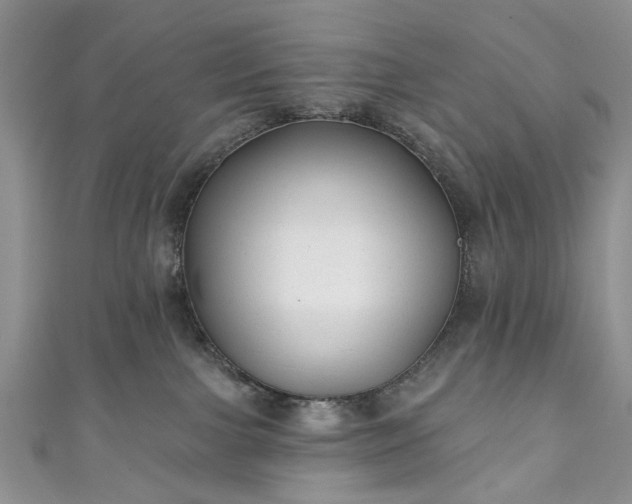 X0000111000091200906261508