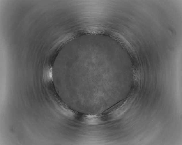 X0000111000095200906261508