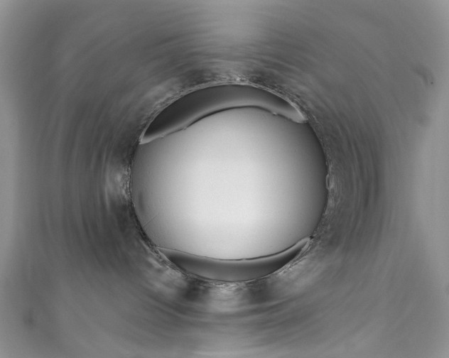 X0000111000096200906261508