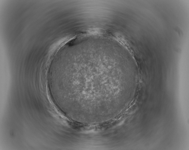 X0000111000097200906261507