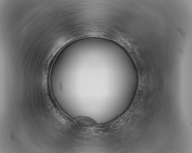 X0000111000098200906261507