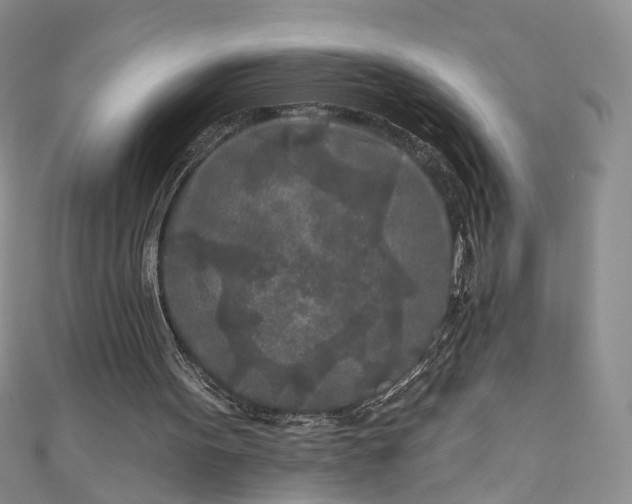 X0000111000099200906261507