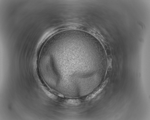 X0000111000101200906261507