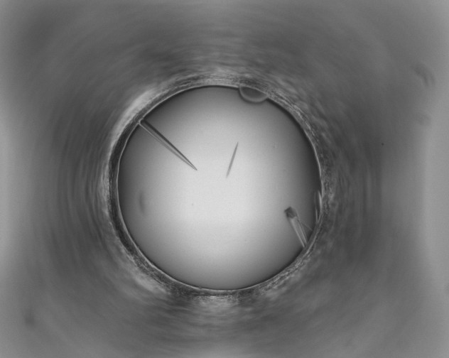 X0000111000102200906261507