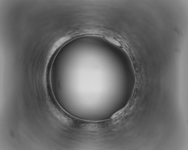 X0000111000104200906261507