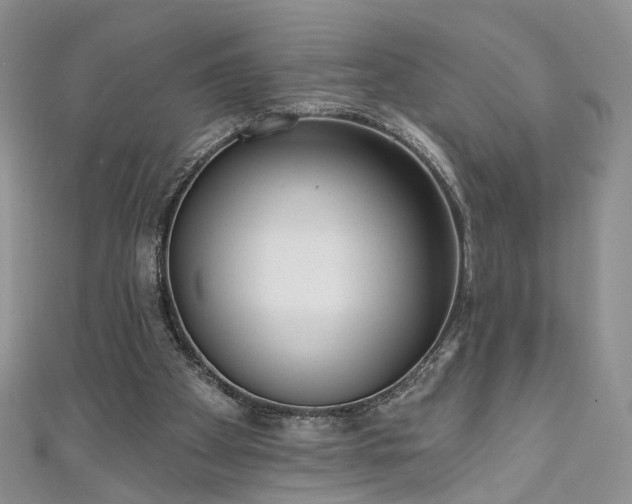 X0000111000105200906261507