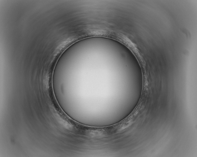 X0000111000106200906261507