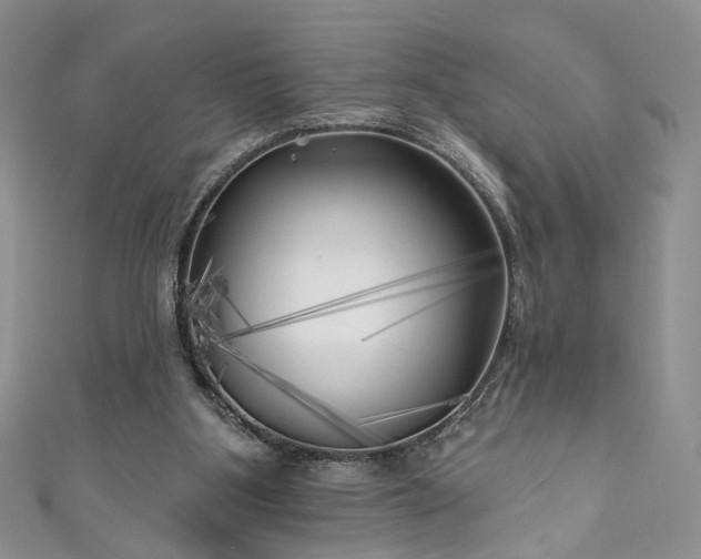X0000111000107200906261507