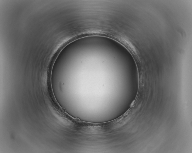 X0000111000108200906261507