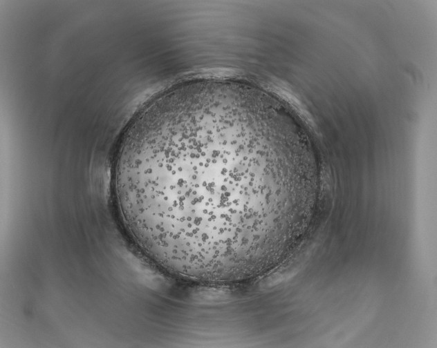 X0000111000110200906261507