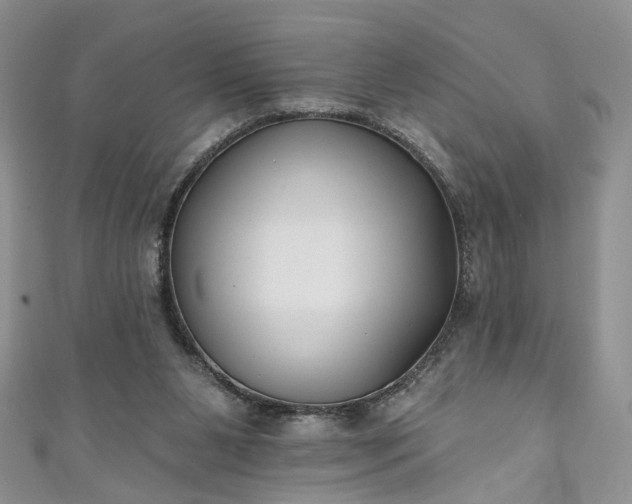 X0000111000111200906261507