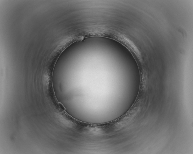 X0000111000113200906261507