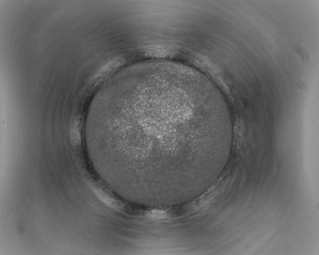 X0000111000114200906261507