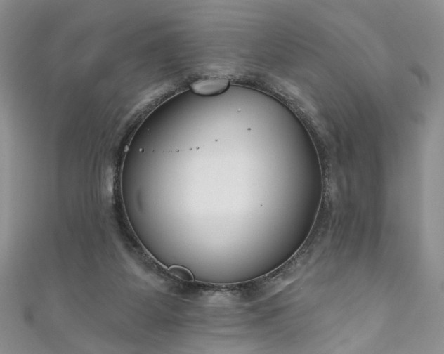 X0000111000115200906261507