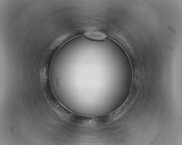 X0000111000116200906261507