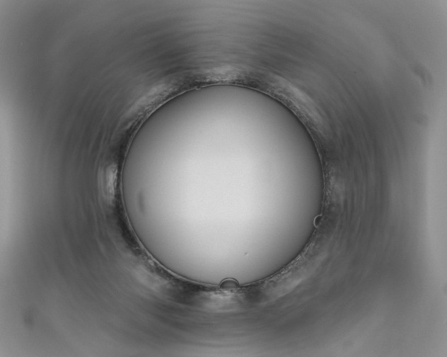 X0000111000118200906261507