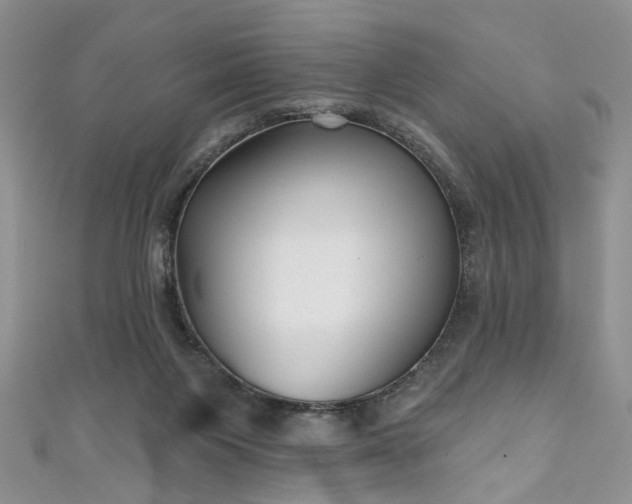 X0000111000119200906261507