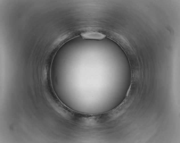 X0000111000120200906261507