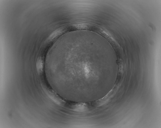 X0000111000124200906261507