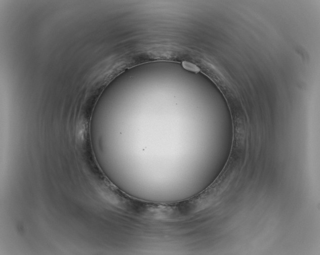 X0000111000125200906261507