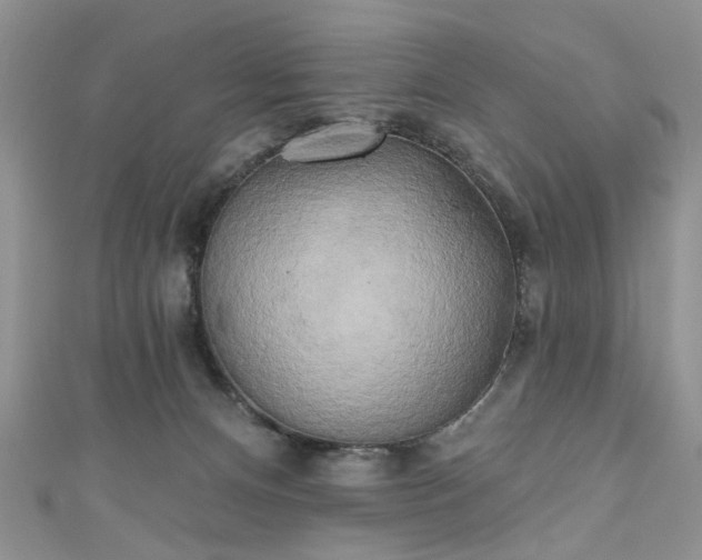 X0000111000128200906261507