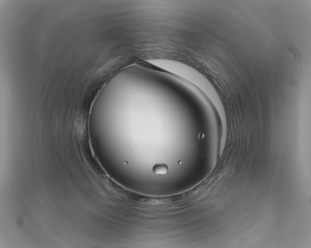 X0000111000129200906261507