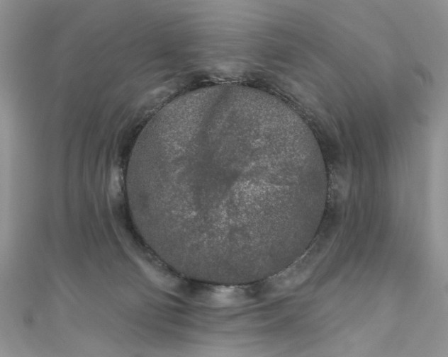 X0000111000130200906261507