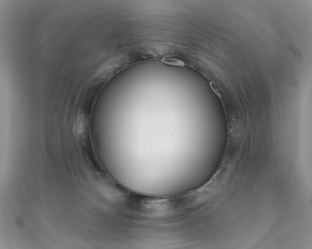 X0000111000132200906261507