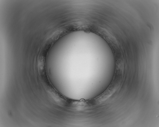 X0000111000133200906261507