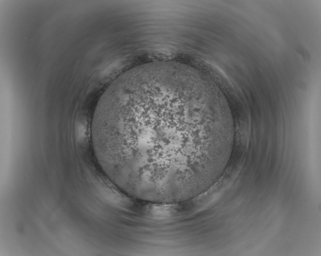 X0000111000134200906261507