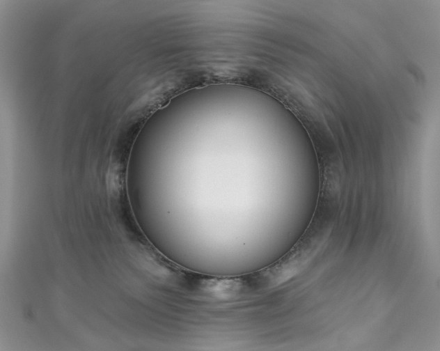 X0000111000135200906261507